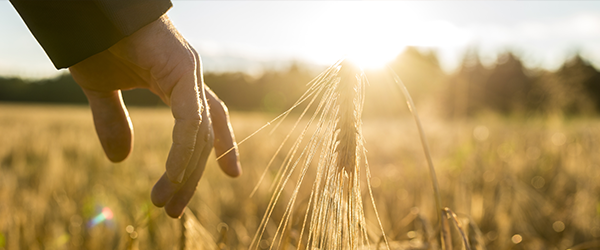 FarmLead: Buy & Sell Grain With Ease