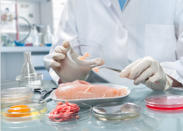 ProteoSense: Making Foodborne Illness a Thing of the Past